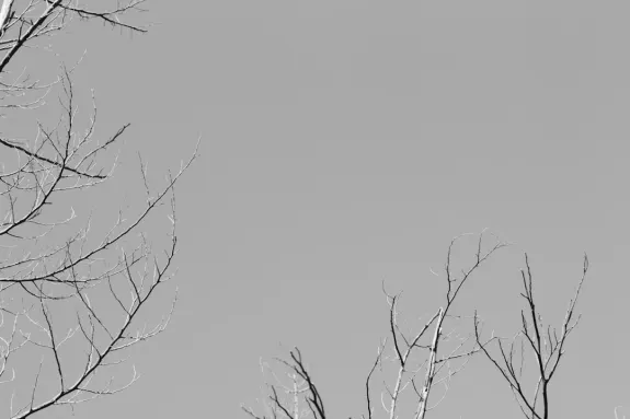 ИксКазино Казино Поддръжка